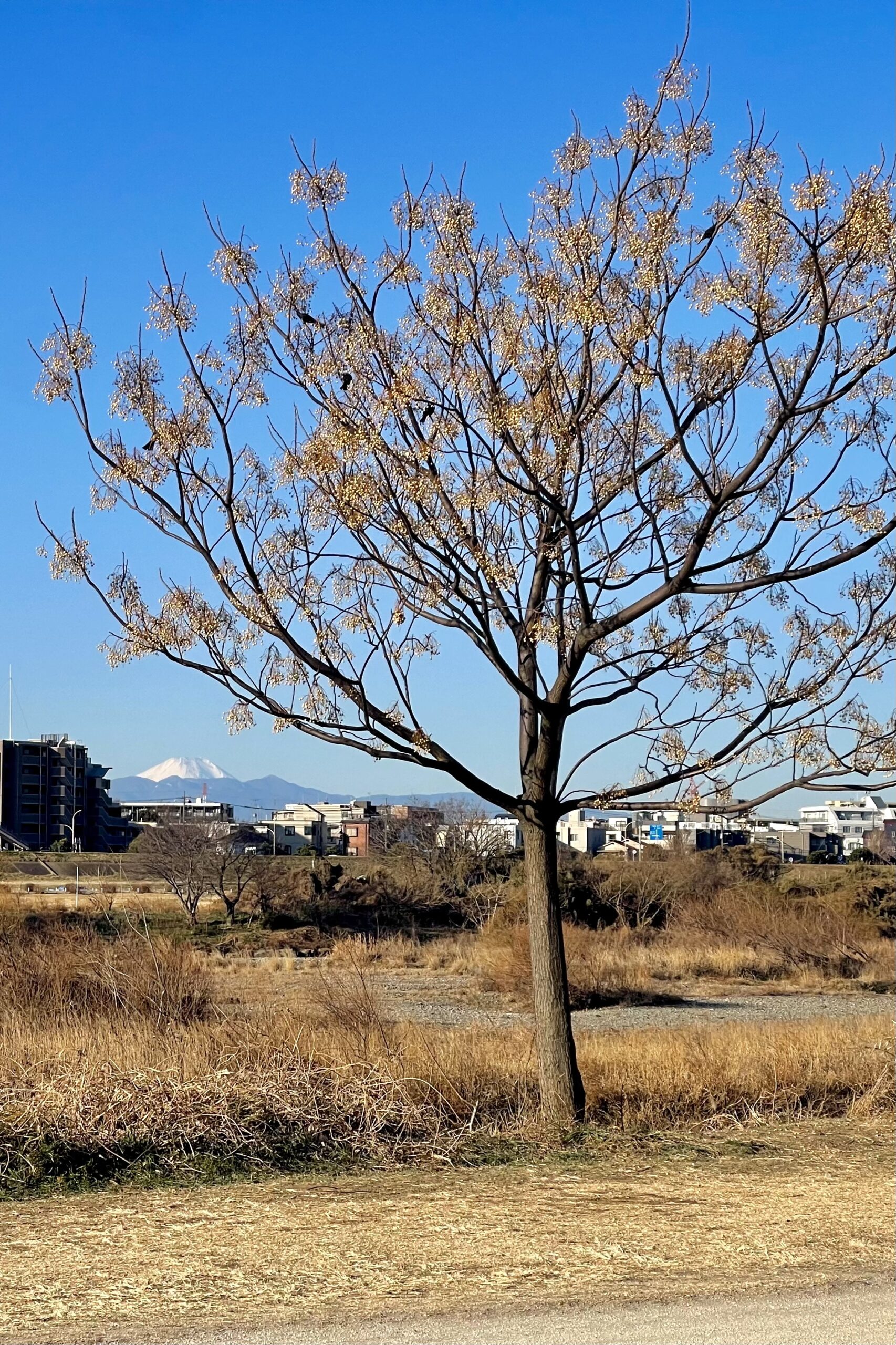 記事サムネイル